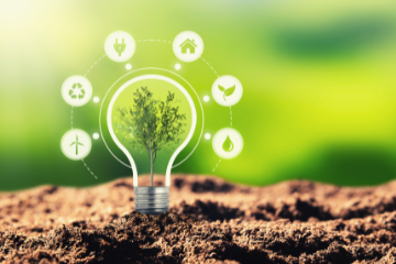 Case Studies Sustainability
